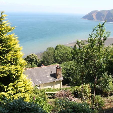 North Walk House Lynton Exterior foto
